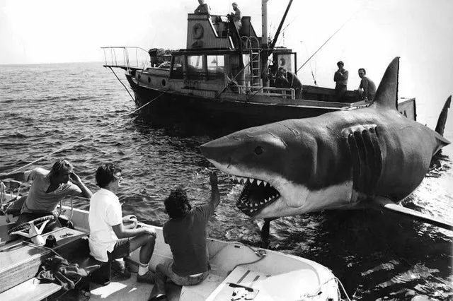 Jaws 1975 Mechanical Shark Bruce Pneumatic Rigging Production Set Filming Setup